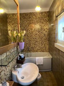 a bathroom with a sink and a bath tub at Antica Casa Fenaroli in Iseo