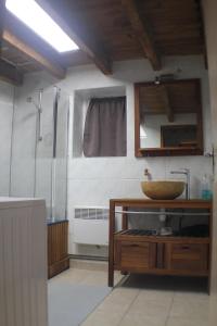 een badkamer met een wastafel en een douche bij Vakantiehuis Le Vieux Tilleul in Pionsat