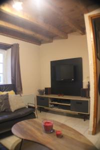 een woonkamer met een bank en een televisie bij Vakantiehuis Le Vieux Tilleul in Pionsat
