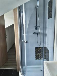La salle de bains est pourvue d'une douche avec une porte en verre. dans l'établissement Apartmán Tatry-Poprad, à Poprad