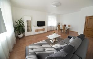 sala de estar con sofá y mesa en Petro delux apartments center, en Kaunas