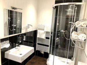 y baño con lavabo y ducha. en Markthof am Dom, en Erfurt