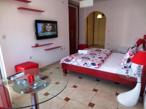 um quarto com uma cama e uma televisão na parede em Accommodation Jovan em Ohrid