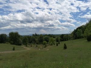 een grasveld met bomen en een bewolkte hemel bij Vakantiehuis Le Vieux Tilleul in Pionsat