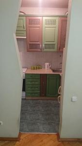 una pequeña cocina con armarios verdes y fregadero en GREEN ROSE, en Kiev