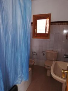 a bathroom with a toilet and a sink and a window at Apartamentos Cerro Negro - Las Viñas in Capileira