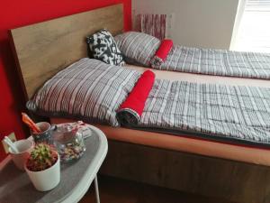 Postel nebo postele na pokoji v ubytování Apartman Red wall