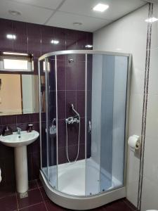 ein Bad mit einer Dusche und einem Waschbecken in der Unterkunft DownTown B&B in Wanadsor