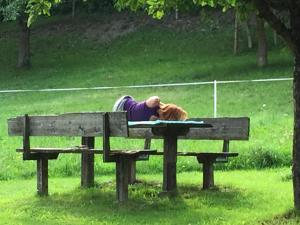 a person laying on a park bench with a dog at Bobbies Nest in Schladming