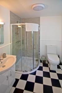 een badkamer met een douche, een wastafel en een toilet bij Cottage at Youghal Bridge in DʼLoughtane Cross Roads