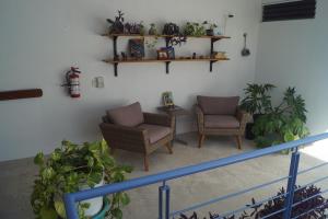 a living room filled with furniture and plants at Gran Jaguar Hotel in Bacalar