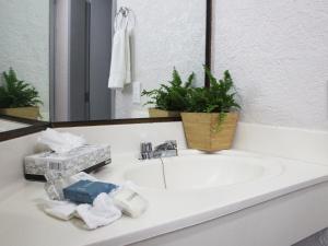 a bathroom sink with toiletries and a plant on it at Hotel Corona Plaza in Rosarito