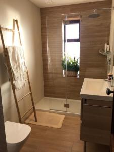 a bathroom with a shower and a toilet and a sink at Beachfront Apartment with Swimming Pool in Mindelo