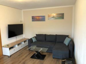 Et tv og/eller underholdning på Ferienwohnung Brigach