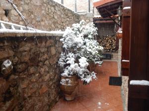 un grupo de plantas en macetas en cubos en una pared de piedra en Guesthouse Katafygio, en Arachova