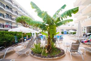 a palm tree in the middle of a courtyard with chairs and umbrellas at Adults Only Sunny Quiet Apartment in Center of Las Americas in Arona