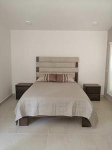 a bedroom with a large bed and two night stands at KIA - PESQUERIA - AEROPUERTO MONTERREY a in Monterrey
