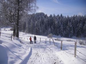 Ferienwohnungen Frick under vintern