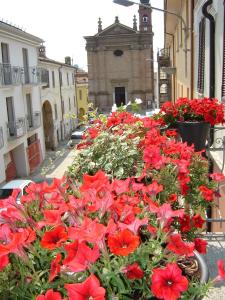 a bunch of red flowers on the side of a street at Cà 'd Peraca in Monticello d'Alba