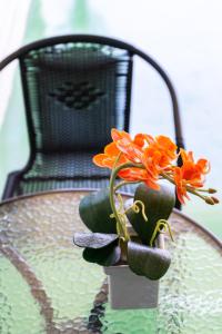 un tavolo di vetro con una pianta in vaso sopra di Sukhumvit 101 HOTEL a Bangkok