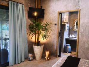 a room with a potted plant and a dog standing next to a door at The Lazy Lodge in Ko Lanta