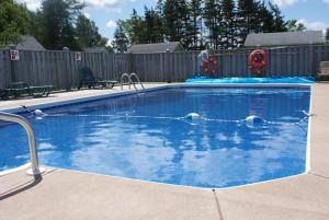 ein großer blauer Pool mit Wasserrutsche in einem Garten in der Unterkunft North Rustico Bed and Breakfast in North Rustico