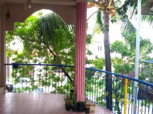 a balcony with a fence and a palm tree at Malakar Home stay in Port Blair
