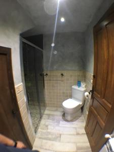 een badkamer met een toilet en een inloopdouche bij La Casa del Horno in Cernégula