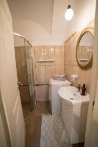 La salle de bains est pourvue d'une douche, de toilettes et d'un lavabo. dans l'établissement Colonial ultra center apartment, à Cluj-Napoca
