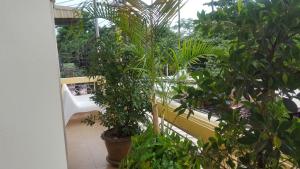 a room with many plants in a building with a balcony at Khun Ying House in Ko Tao