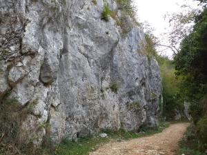 Příroda nedaleko apartmánu