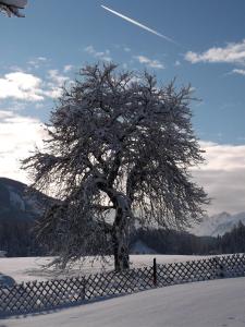 Paesaggio naturale nelle vicinanze della casa vacanze