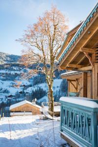 een boom in de sneeuw naast een huis bij La FERME des Lombardes in Saint-Jean-de-Sixt