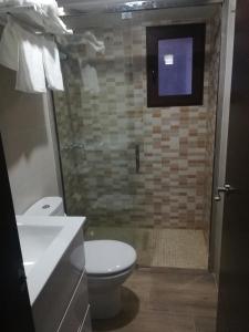 uma casa de banho com um WC, um lavatório e um chuveiro em Apartamentos Buena Vista 4 em Coto Ríos