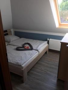 ein Bett mit einem schwarzen Tier, das darüber liegt in der Unterkunft Ferienwohnung Kuschelmuschel Flensburg - Handewitt in Handewitt