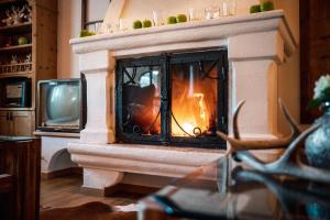 TV a/nebo společenská místnost v ubytování Hotel Antines