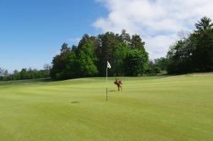Golf v chaty nebo okolí