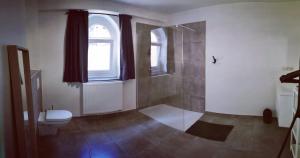 a bathroom with a shower and a toilet and a window at Le Cerf Vert in Dinant