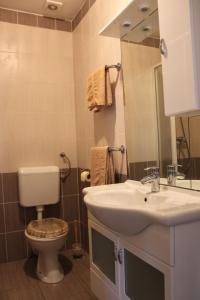 a bathroom with a sink and a toilet and a mirror at Apartments Dorotea - Jezera in Jezera