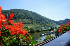 ロフにあるMoselhotel & Restaurant Zur Traube GmbHの川の眺め