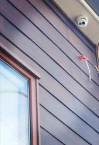 Fotografie z fotogalerie ubytování Hostal Buenavista Patagonia v destinaci Punta Arenas