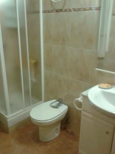 ビジャヌエバ・デ・ロス・インファンテスにあるCasa Rural Los Galanesのバスルーム(トイレ、シャワー、シンク付)