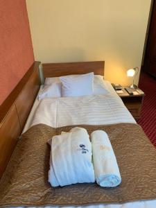 Postel nebo postele na pokoji v ubytování Hotel Therma Dunajská Streda
