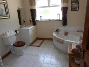 a bathroom with a tub and a toilet and a sink at Birchdale House B&B in Rathdrum