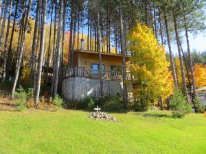 una casa en medio de un campo con árboles en La maison sous les arbres en Saint Roch de Mekinac