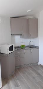 uma cozinha com um lavatório e um micro-ondas em Apartamentos Buena Vista 4 em Coto Rios