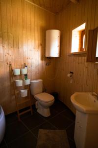 a bathroom with a toilet and a sink at Grzybek Maison champignon in Kętrzyn
