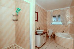 a bathroom with a shower and a sink and a toilet at Addis Bed and Breakfast in Durban +62 photos