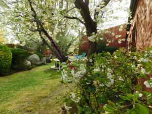 un jardín con un árbol con flores blancas en un patio en Hostal Schilling en El Calafate