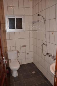 a bathroom with a toilet and a shower and a sink at Appart meublés Yaounde in Yaoundé